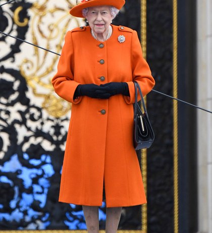 Правнучка хотела вылечить, а Уильям помогал работать. Родные поддержали больную COVID-19 Елизавету I