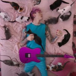 Machine Gun Kelly и Blackbear сняли клип с котятами, шариками и лепестками роз