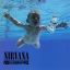 Иск &laquo;младенца&raquo; с обложки Nirvana отклонен окончательно
