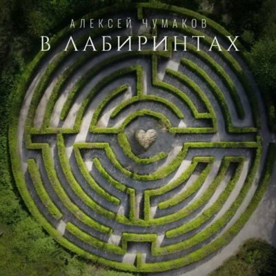 Алексей Чумаков показал себя &laquo;В лабиринтах&raquo;
