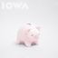 IOWA пытается себя склеить в &laquo;Свинке-копилке&raquo;
