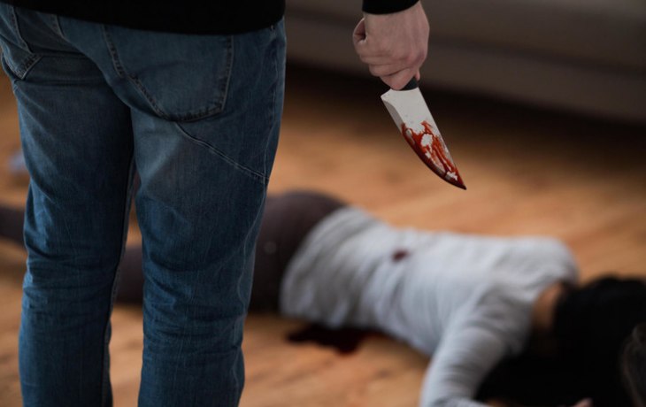 Жестокое убийство 17-летней девушки попало на видео под Новосибирском