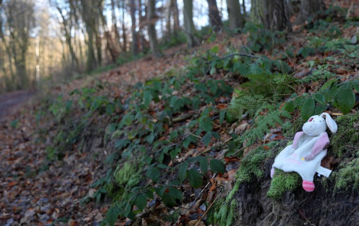 &laquo;Отвернулась на пару секунд, а он пропал&raquo;: под Оренбургом уже два дня ищут шестилетнего мальчика