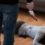 Жестокое убийство 17-летней девушки попало на видео под Новосибирском