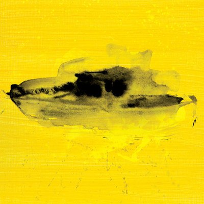 Эд Ширан утопил свою депрессию в море