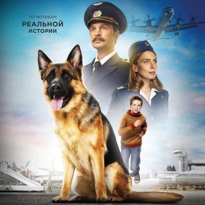 &laquo;Пальма&raquo; Александра Домогарова-младшего &laquo;Пальма&raquo; выходит в китайский прокат