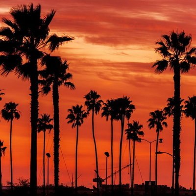 &laquo;Коачелла 2022&raquo; пройдет без вакцин, тестов и масок