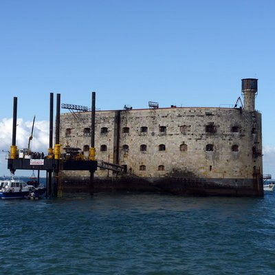 &laquo;Форт Боярд&raquo; останется без живых тигров