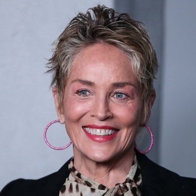 Шэрон Стоун попытается найти украденную нацистами картину в экранизации нового романа Лизы Барр