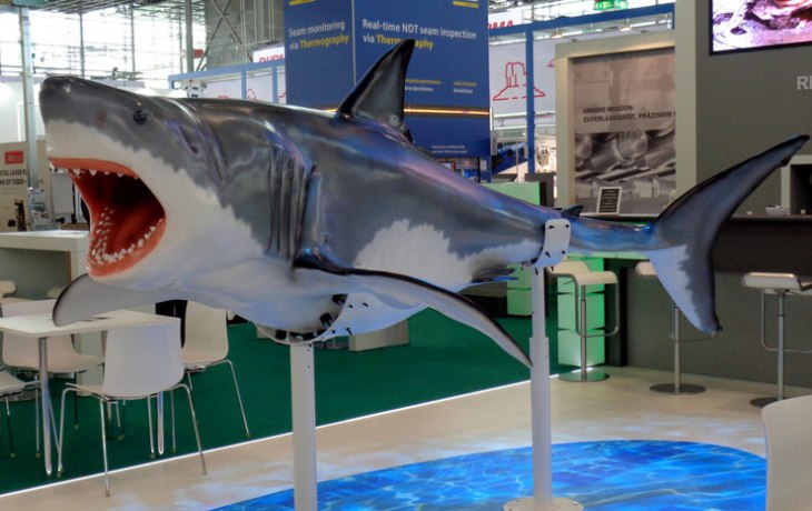 В Египте акула откусила туристке руку и ногу. Жуткие кадры