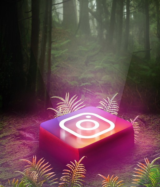 Российские пользователи жалуются на сбои в работе Instagram