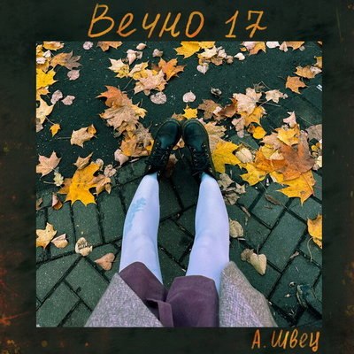 Рецензия: Алёна Швец &ndash; &laquo;Вечно 17&raquo;. Школьные годы чудесные