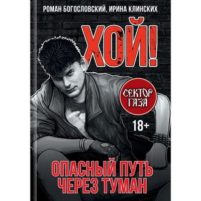 Рецензия на книгу: Роман Богословский, Ирина Клинских &laquo;Хой! Опасный путь через туман&raquo;