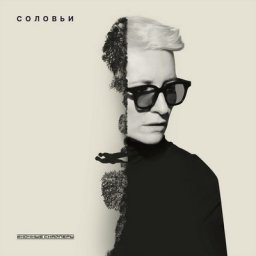 Диана Арбенина выпустила очень личных &laquo;Соловьев&raquo;