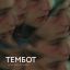 Зеркало-2022: 10 главных фильмов кинофестиваля им. Тарковского