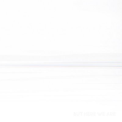 Foo Fighters выпускают первый альбом после смерти Тейлора Хокинса